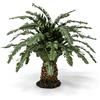 Frisa Presepi Palma Tronco Basso h 22 cm