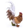 Frisa Presepi Gallo x statue H 20 cm
