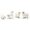 Frisa Presepi Set 5 pecore con lana Altezza 15 cm