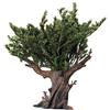 Frisa Presepi Albero Verde h 16 cm
