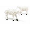 Frisa Presepi Agnello Per Statue h 21 cm