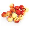 Frisa Presepi Busta 12 Mele Gialle Sfumature Rosse