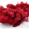 Frisa Presepi Sacchetto Lichene Magenta
