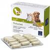 CAMON DETOXIVET 60CPR