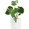 Fox & Fern Fox&Fern - Vaso da fiori M con struttura a linee, 24 cm, con scarico dell'acqua per piante da esterno e interno, adatto per fioriera Fox&Fern M (diametro 25 cm), colore: Bianco