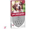 ELANCO ITALIA SPA ADVANTIX SPOT ON*6PIP 10-25KG