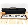 Suzuki HAMMOND PRO-44Hv2 Elettrico Acustico 44 Tasti Melodica Brown SUZUKI PRO-44HP