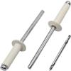 SKIR'CO 100 rivetti ciechi verniciati, 4,0 x 10 mm, in alluminio, DIN 7337, mandrino in acciaio, rivetti pop, punta da trapano inclusa (bianco puro RAL 9010)
