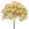 DRW Set 12 fiori artificiali con gambo naturale in PU-Foam Crema 63 x 20 x 20 cm