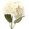 DRW Set di 12 fiori artificiali con gambo naturale in PU-Foam Crema 66 x 20 x 20 cm