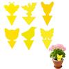 Wennicy 60 PCS Trampa per Mosche Adesiva Impermeabile Durabile Collante Fortissimo Disinfestazione Piante Interni Esterni Trappola Moscerini Anti Mosche