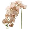 DRW Set 12 rami artificiali naturali con orchidee in PU-Foam rosa 96 x 15 x 15 cm