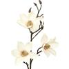 DRW Set 6 rami colore naturale con fiori artificiali in PU-Foam crema 91 x 40 x 40 cm