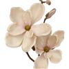 DRW Set 12 rami colore naturale con fiori artificiali in PU-Foam rosa 50 x 25 x 25 cm