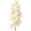 DRW Set 12 rami artificiali naturali con orchidee in PU-Foam Crema 96 x 15 x 15 cm