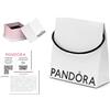 PANDORA Set di imballaggio ecologico, bianco, 1 set di imballaggio, Elegante