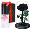 Touloube Festa della Mamma Rosa Stabilizzata Vera Regalo Donna in Cupola Vetro - Regalo di San Valentino, Donna Regalo Compleanno, Rosa Eterna Idee Regalo Mamma Moglie Fidanzata Nonna, per Anniversario