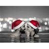 Smartbox Natale alle terme: 1 rigenerante accesso Spa per 2 amanti del relax