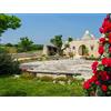 Smartbox Trulli, vino e buon cibo: 2 magiche notti in Puglia con visita ai vigneti e degustazione