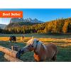 Smartbox Turismo equestre: 2 notti e passeggiata a cavallo