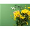 Smartbox Buono regalo per l'insegnante - 15 €