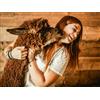 Smartbox Alpaca, natura e dolcezza: visita guidata in fattoria a Siena per 3 persone