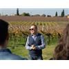 Smartbox Il Lago di Garda e i suoi vini: 1 degustazione con prodotti tipici