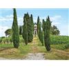 Smartbox Vigneti d'eccellenza in Friuli: visita alla cantina con degustazione vini e 2 bottiglie in regalo
