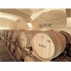Smartbox Tra vigneti e tradizione: visita alla cantina con degustazione vini in Friuli Venezia Giulia