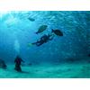 Smartbox Emozioni in mare: 1 lezione di immersione subacquea in diverse località