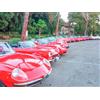 Smartbox Emozioni senza limiti: vintage tour per 2 in Spider d'epoca tra le colline del Chianti