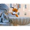 Smartbox Esplora Roma con Foxtrail: escape game a Trastevere per 6 persone