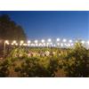 Smartbox Cena nei vigneti del Chianti con partenza da Siena