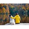 Smartbox Vacanza relax di coppia insieme al tuo cane: 1 notte con accesso alla Spa in Svizzera
