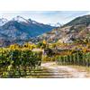 Smartbox 1 notte in Valle d'Aosta con degustazione vini