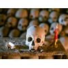 Smartbox Ghost tour della Napoli esoterica tra monacielli, cornicelli e pizza per 2