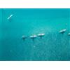 Smartbox Tour in kayak sul Lago di Albano con guida (3h) per 2