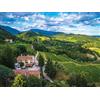 Smartbox 1 notte in Suite in Villa sulle colline del Prosecco in Veneto con romantico picnic tra le vigne
