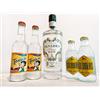 Smartbox Gin Tonic a casa tua: 1 box con 1 Gin a scelta e 4 toniche con dispenser