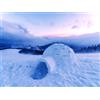Smartbox Vacanza di famiglia in igloo: 1 notte in un igloo a Davos in Svizzera