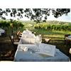 Smartbox Pranzo romantico in vigneto con tour guidato della cantina e delle vigne in Lombardia