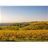 Smartbox Tra le verdi colline di Firenze: 1 notte in camera Deluxe con ingresso all'area spa