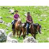 Smartbox Avventure in Trentino: 1 notte in agriturismo e passeggiata a cavallo tra i boschi