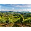 Smartbox Degustazioni enologiche per 2 in selezionate cantine dell'Emilia Romagna