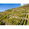 Smartbox Degustazioni enologiche per 2 in selezionate cantine della Lombardia
