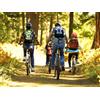 Smartbox Nel verde del Veneto: 1 notte in B & B con escursione e noleggio bici per la famiglia