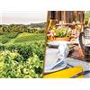 Smartbox Magia in B & B: 1 notte con degustazione di vini in Italia
