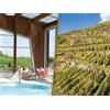 Smartbox In Lombardia tra Spa e rinomate cantine: 1 notte con pausa relax e degustazione vini