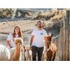 Smartbox A spasso con gli alpaca: slow trekking in una fattoria per 2 adulti e 1 bambino