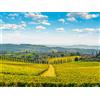 Smartbox 2 giorni in Toscana con gusto!